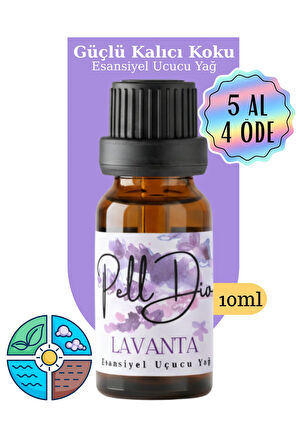 10'lu Karışık Esansiyel Uçucu Koku Yağı Buhurdanlık Yağı Difüzör Esansı Hobi Esans Ortam Oda 10ml