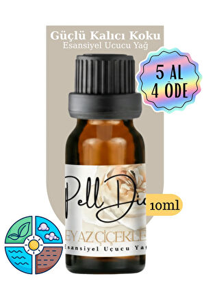 10'lu Karışık Esansiyel Uçucu Koku Yağı Buhurdanlık Yağı Difüzör Esansı Hobi Esans Ortam Oda 10ml