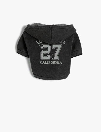 Kapüşonlu Köpek Sweatshirt Fermuarlı İçi Peluş Antibakteriyel