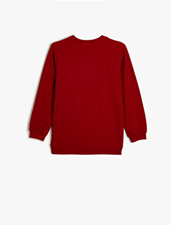 Dinozor Baskılı Sweatshirt Bisiklet Yaka Şardonlu