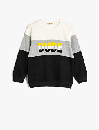 Sweatshirt Renk Bloklu Bisiklet Yaka Slogan Baskılı