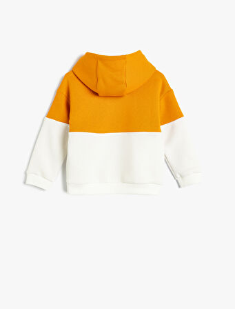 Kapşonlu Sweatshirt Renk Bloklu Slogan Baskılı