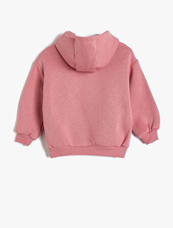 Kapşonlu Sweatshirt Dinozor Baskılı Uzun Kollu 