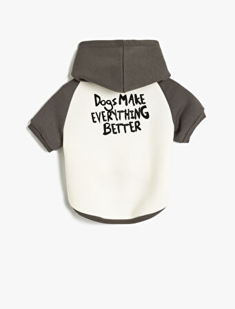 Köpek Sweatshirt Kapüşonlu Renk Bloklu Baskılı