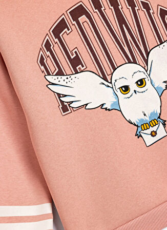 Koton Baskılı Kız Çocuk Pembe Sweatshırt 5WKG10376AK