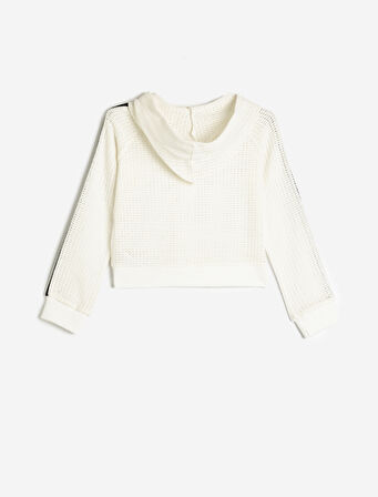 Fermuarlı Sweatshirt Kapşonlu File Detaylı Biyeli 