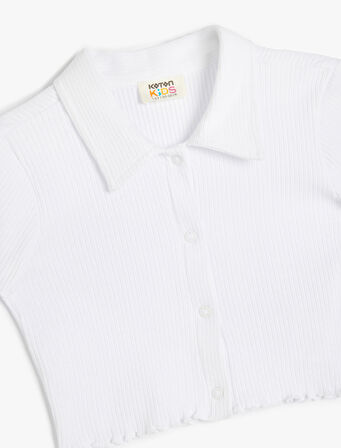 Düğmeli Kısa Kollu Basic Polo Yaka Pamuklu Tişört