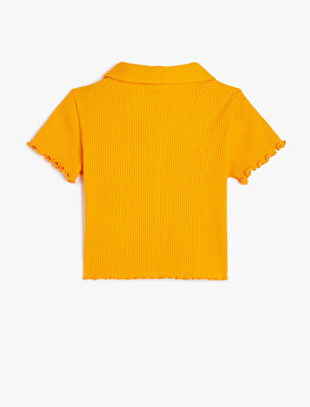 Düğmeli Kısa Kollu Basic Polo Yaka Pamuklu Tişört