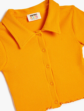 Düğmeli Kısa Kollu Basic Polo Yaka Pamuklu Tişört