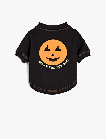 Bisiklet Yaka Fermuarlı Şardonlu Köpek Sweatshirtü