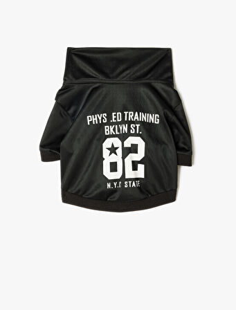 Köpek Sweatshirt Dik Yaka Biyeli Fermuarlı