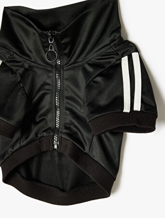 Köpek Sweatshirt Dik Yaka Biyeli Fermuarlı