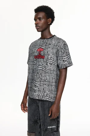 LES BENJAMINS RELAXED TEE 048 M GRY