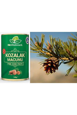 3 Adet Kozalak Macunu Çam Kozalağı Macun 240 Gr.
