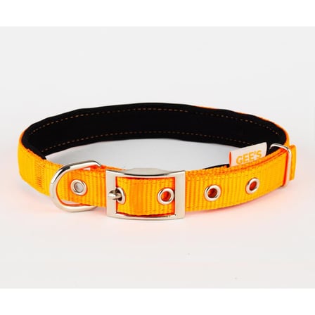 Gees Köpek Boyun Tasması 2x32-42 Cm TURUNCU