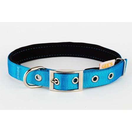 Gees Köpek Boyun Tasması 2x32-42 Cm TURKUAZ
