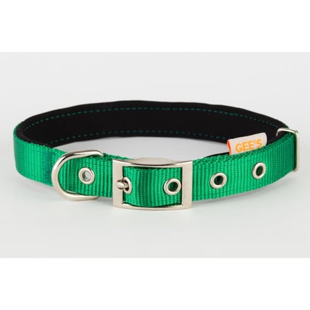 Gees Köpek Boyun Tasması 2x37-47 Cm YEŞİL