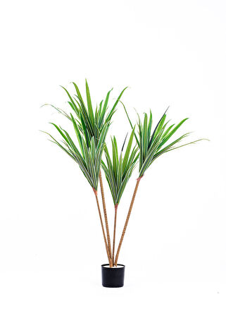 The Mia Yapay Dracaena Ağacı 3 Dallı 120 cm