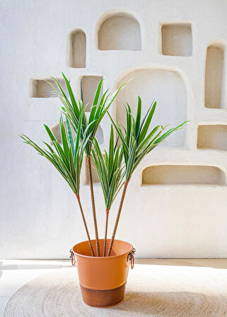 The Mia Yapay Dracaena Ağacı 3 Dallı 120 cm