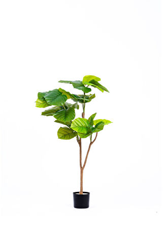 The Mia Yapay Ficus Umbellata Ağacı Yeşil 120 cm