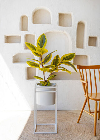 The Mia Yapay Ficus Altissima Ağacı Sarı Yeşil 90 cm