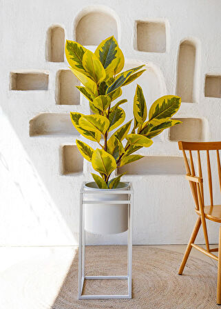 The Mia Yapay Ficus Altissima Ağacı Sarı Yeşil 120 cm