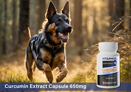 VITARMOR SUPPLEMENTS CURCUMIN KEDİ & KÖPEK Besin Takviyesi 30 Kapsül 650 mg