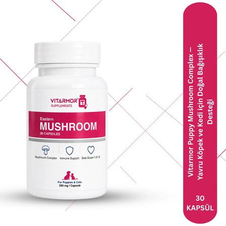 Vitarmor Puppy Mushroom Complex — Yavru Köpek ve Kedi için Doğal Bağışıklık Desteği