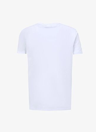 Altınyıldız Classics Beyaz Erkek T-Shirt 4A4824200023