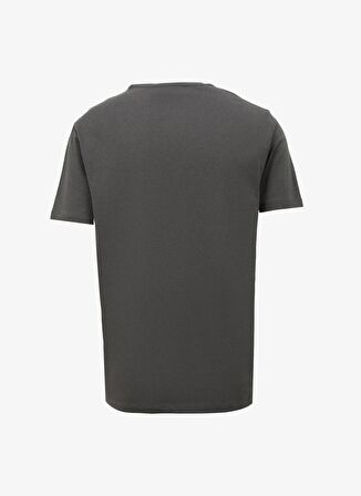 Bisiklet Yaka Antrasit Erkek T-Shirt 4C4800000012