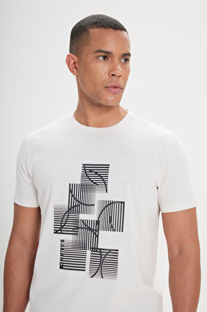 Standart Fit Normal Kesim %100 Pamuk Baskılı Bisiklet Yaka Tişört