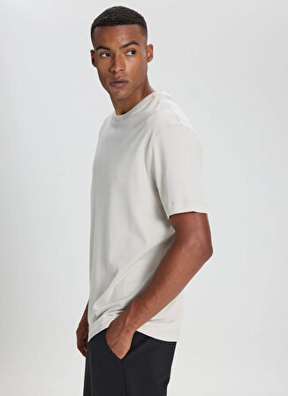 Altınyıldız Classics Bisiklet Yaka Taş Erkek T-Shirt ACE482510267_TAS