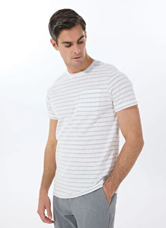 Altınyıldız Classics Bisiklet Yaka Çizgili Ekru Erkek T-Shirt ACE091252120_EHK