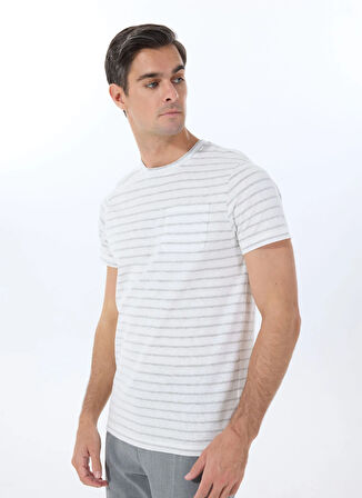 Altınyıldız Classics Bisiklet Yaka Çizgili Ekru Erkek T-Shirt ACE091252120_EHK