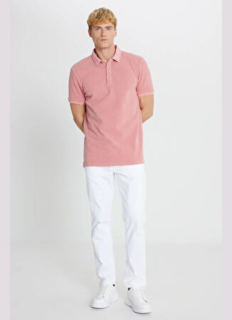 Altınyıldız Classics Polo Yaka Düz Gül Kurusu Erkek T-Shirt ACE091252409_GUL