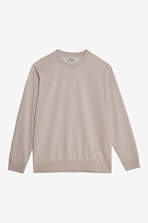 Standart Fit Normal Kesim 2 İplik Recycle Pamuklu Bisiklet Yaka Sweatshirt
