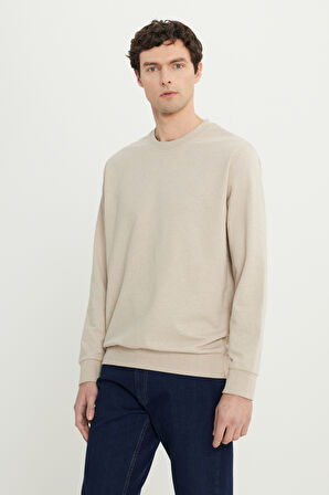 Standart Fit Normal Kesim 2 İplik Recycle Pamuklu Bisiklet Yaka Sweatshirt