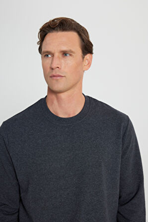 Standart Fit Normal Kesim 2 İplik Recycle Pamuklu Bisiklet Yaka Sweatshirt