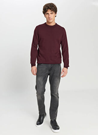 Altınyıldız Classics Bisiklet Yaka Standart Bordo Erkek Kazak ACE043261432_BRD