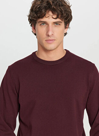 Altınyıldız Classics Bisiklet Yaka Standart Bordo Erkek Kazak ACE043261432_BRD