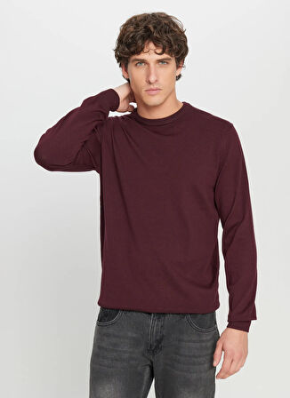 Altınyıldız Classics Bisiklet Yaka Standart Bordo Erkek Kazak ACE043261432_BRD