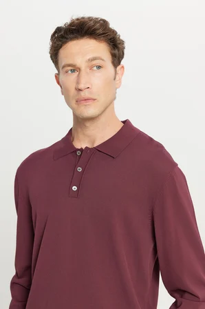 Standart Fit Normal Kesim Polo Yaka Basic Triko Kazak