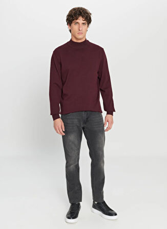 Altınyıldız Classics Yarım balıkçı Yaka Standart Bordo Erkek Kazak ACE043261438_BRD