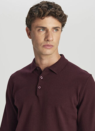 Altınyıldız Classics Polo Yaka Standart Bordo Erkek Kazak ACE043261436_BRD