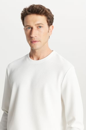 Slim Fit Dar Kesim Bisiklet Yaka Jakarlı Uzun Kollu Tişört