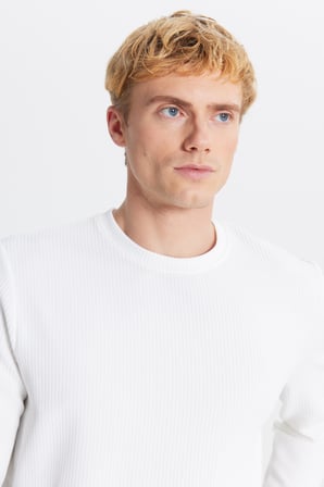 Slim Fit Dar Kesim Bisiklet Yaka Jakarlı Esnek Tişört