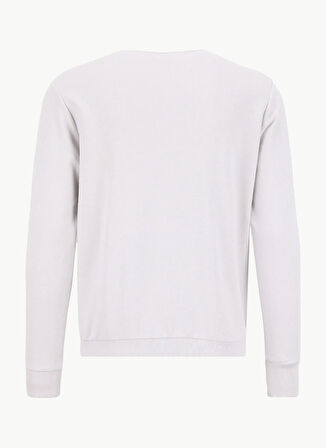 Altınyıldız Classics Bisiklet Yaka Açık Gri Erkek Sweatshırt ACE052261047_AGR