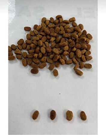 how&meow HOW & MEOW TAVUKLU YAVRU KEDİ MAMASI 15 KG