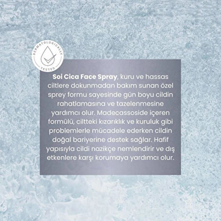 Soi Cica Face Spray