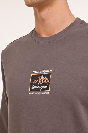 ML GREYS 16URB2029 4PR Gri Erkek Sweatshirt